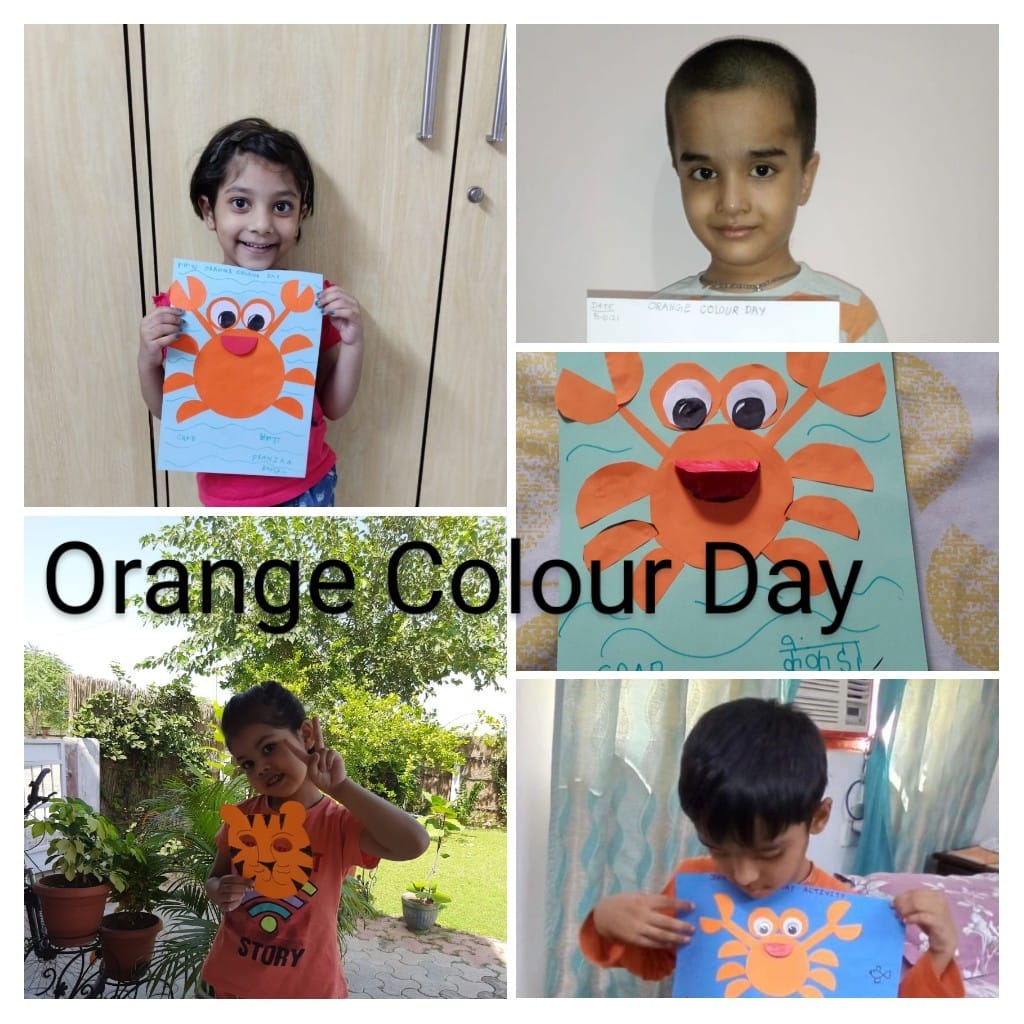 Orange Colour Day